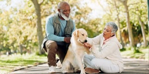 20 Pet Training Tips for First-Time Pet Owners